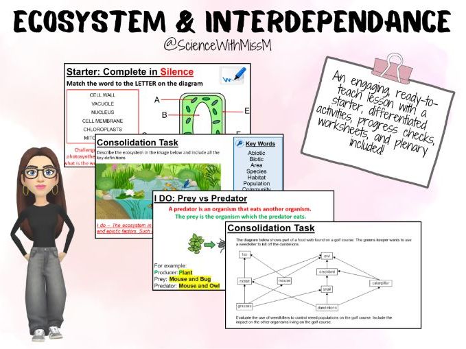 Ecosystems and Interdependence KS3