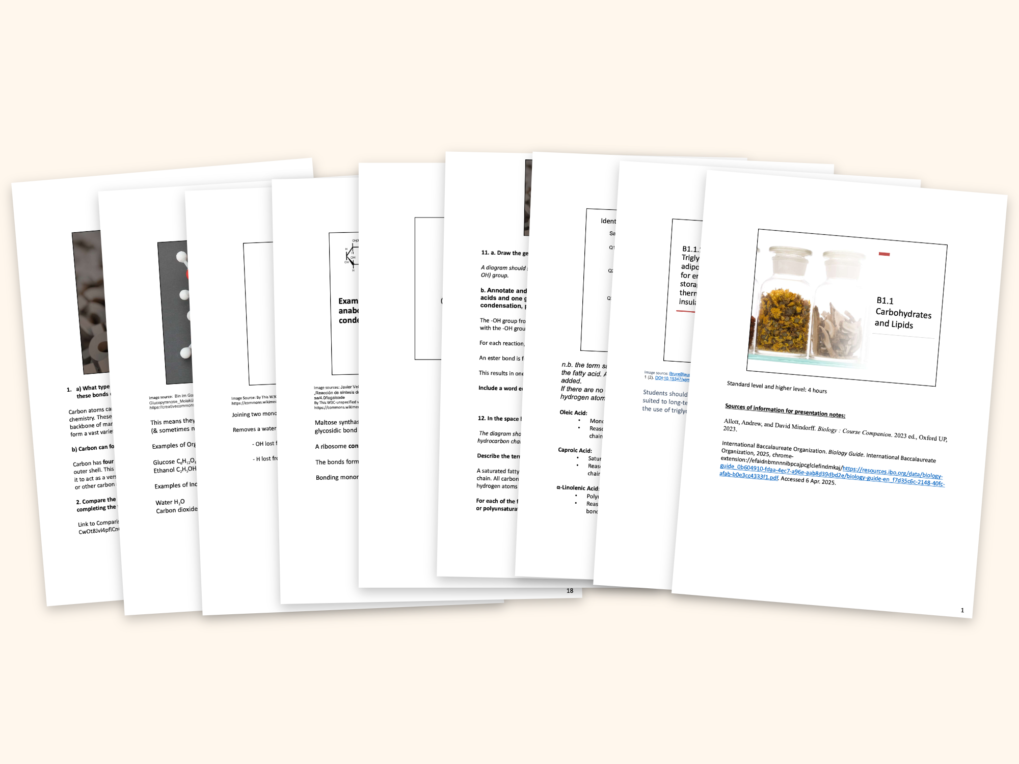 pdf, 5.22 MB