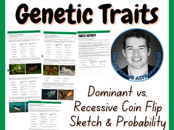 Genetic Traits Probability Sketch Activity | Punnett Square | Biology | 2 Levels