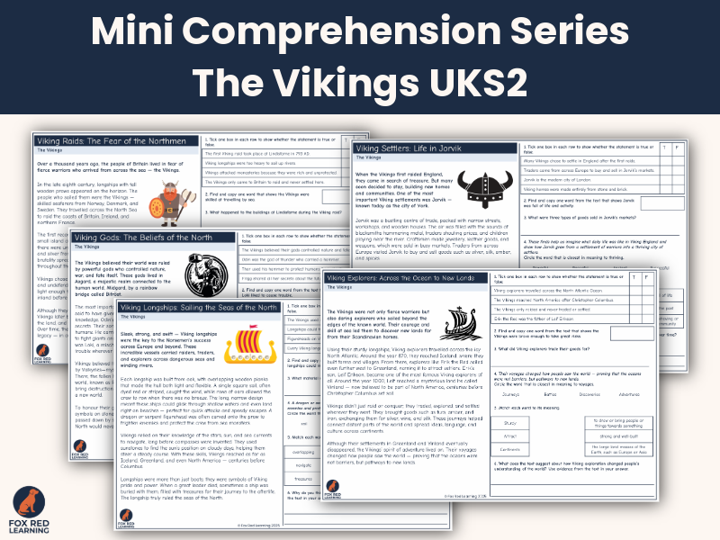 Mini Comprehension Series: The Vikings Y5 Y6