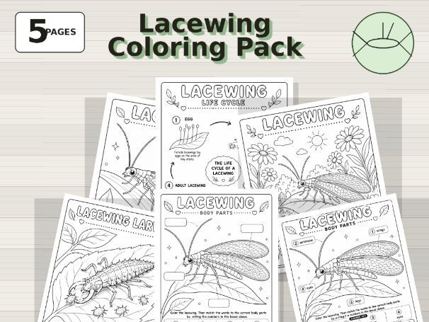 Lacewing Coloring Pages | Rare Insect Science Pack for Kids (Pre-Grade 3)
