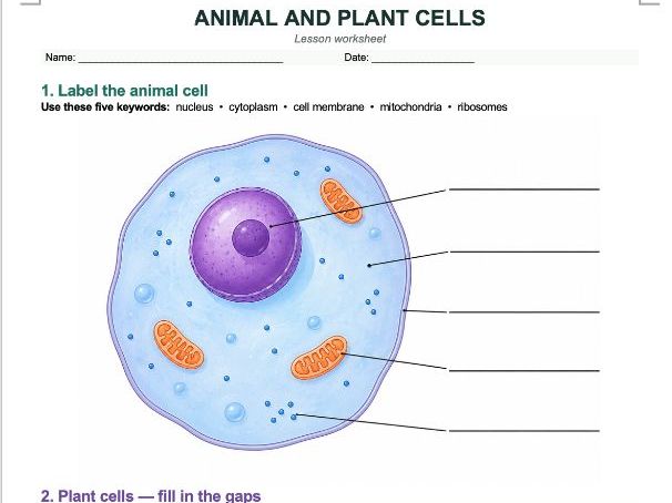 Oxford AQA iGCSE Animal and Plant Cells