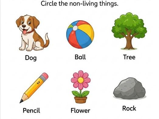 Living and Non-Living Things | Science | Grade 1
