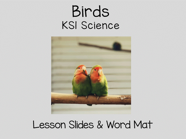 Birds KS1 Science