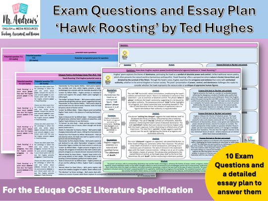 'Hawk Roosting' GCSE Exam Questions and Essay Plan