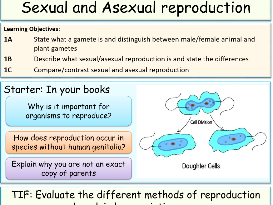 Sexual and Asexual Reproduction Teaching Resources