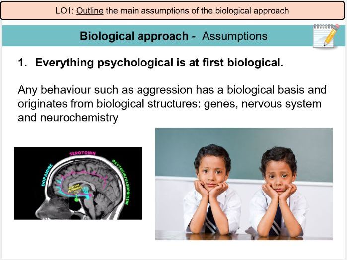 L5 Biological Approaches AQA Psychology Teaching Resources