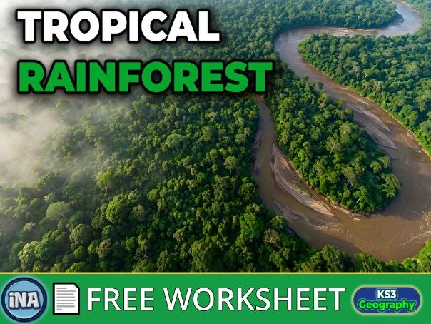 The Tropical Rainforest Biome - FREE KS3 Geography Worksheet
