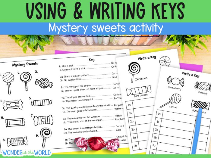 Free identify the sweets dichotomous key KS2 KS3 science