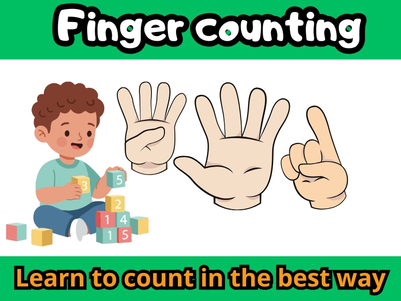 Hands-On Finger Counting: Early Numeracy & Number Recognition Activity