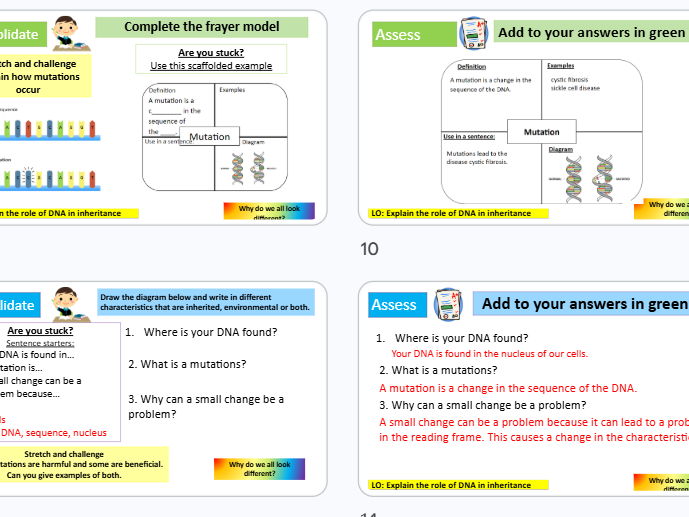 Mutations KS3 Science