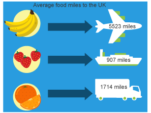 Food miles lesson - fully resourced Geography lesson for Key Stage 2 ...