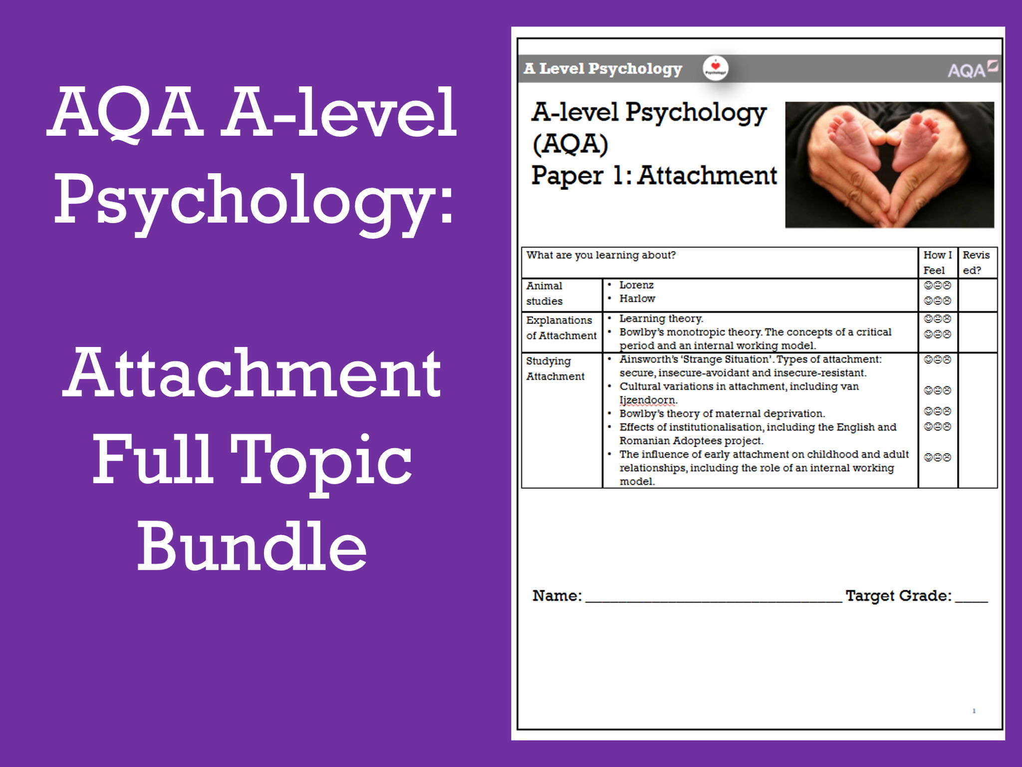 AQA A-level Attachment Full Topic Bundle (Updated for 2025)