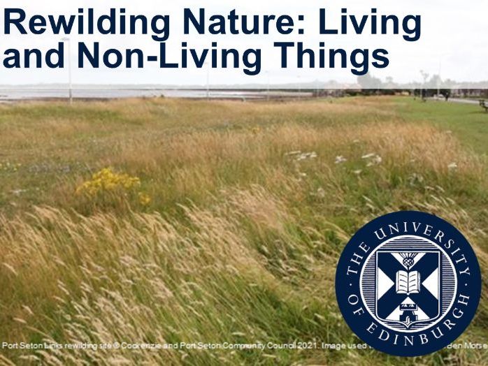 Rewilding Nature: Living and Non-Living Things
