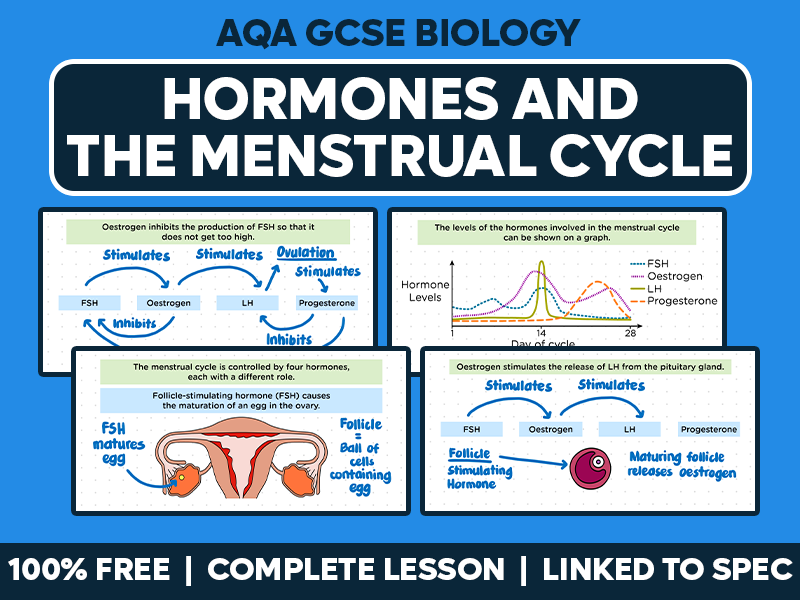 GCSE AQA Biology Complete Lesson - Hormones and the Menstrual Cycle