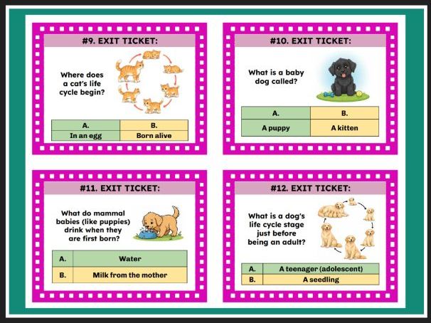 TEKS Science 1.13B - Life Cycles of Animals: Bird, Mammal, and Fish