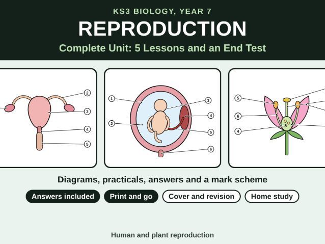 KS3 Biology Reproduction Unit Bundle