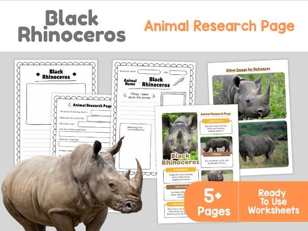 Black Rhinoceros Animal Research Page | African Wildlife Worksheets