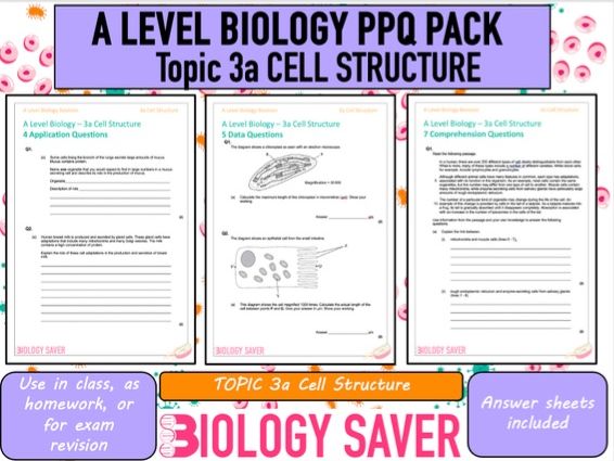 A Level Bio Exam Questions - 3a Cell Structure
