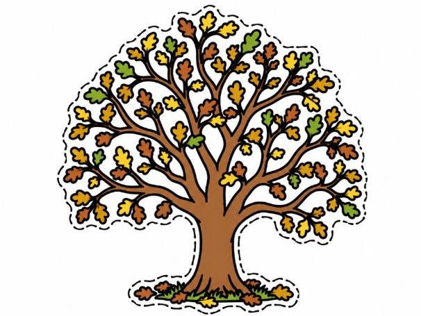 Seasonal Changes Display Cut-Outs – Year 1 Science