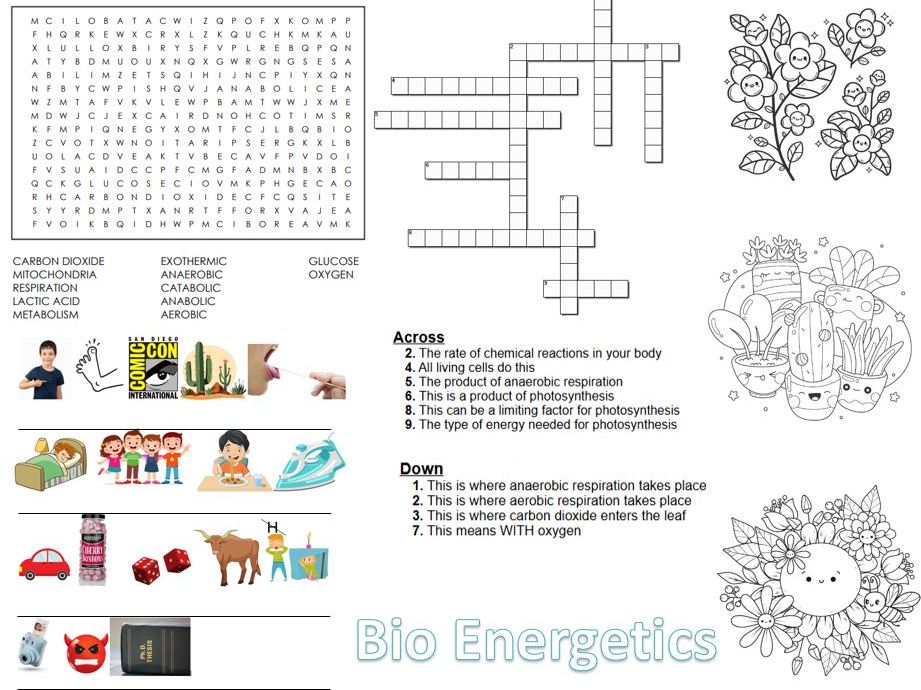GCSE Bio energetics revision puzzle poster respiration