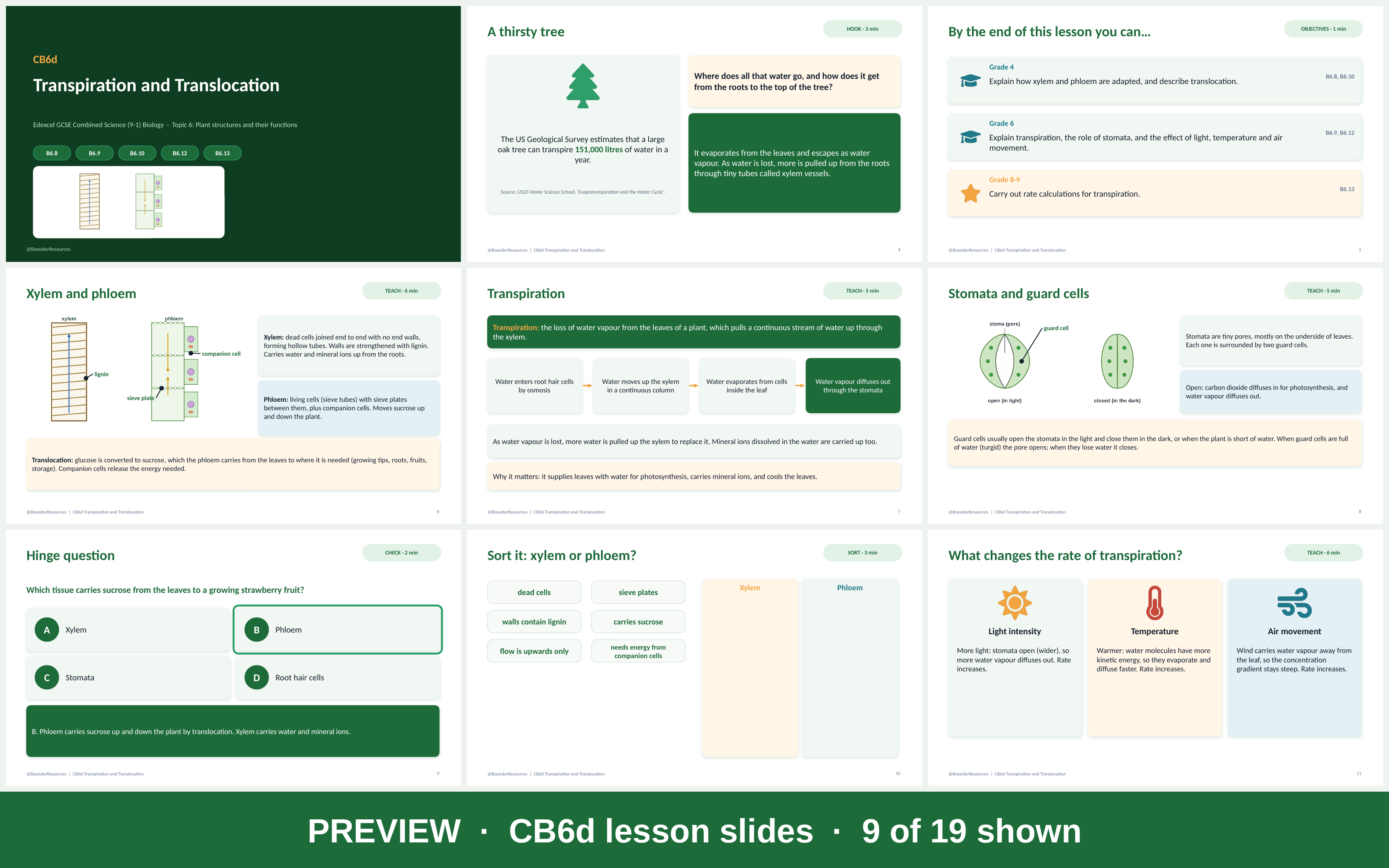 Science Complete Flower CB6d Transpiration and Translocation | Edexcel GCSE Combined Science (9 ...