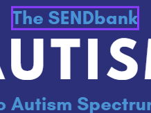 Autism SEND advice poster