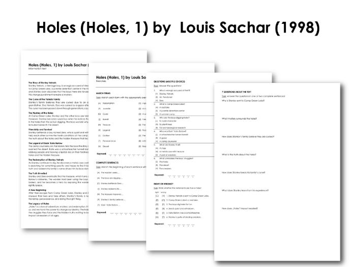 Holes (Holes, 1) by Louis Sachar (1998) | Teaching Resources