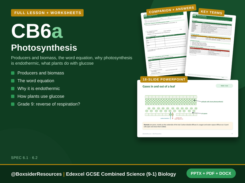 CB6a Photosynthesis | Edexcel GCSE Combined Science (9-1) | Lesson + Worksheet