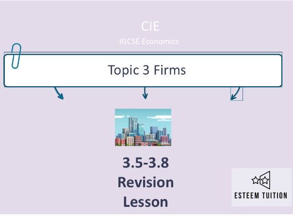 CIE IGCSE Topic 3 (3.5-3.8) 'Firms' Revision PPT