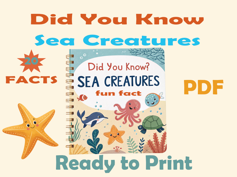 Did You Know? Fun Facts about Sea Creatures
