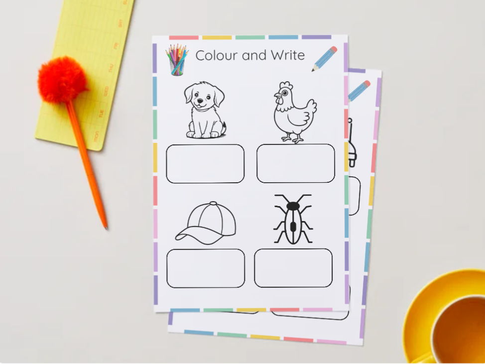CVC Words Worksheet Pack | 3 Phonics Printables | Colour and Write CVC | EYFS KS1 Reading & Writing