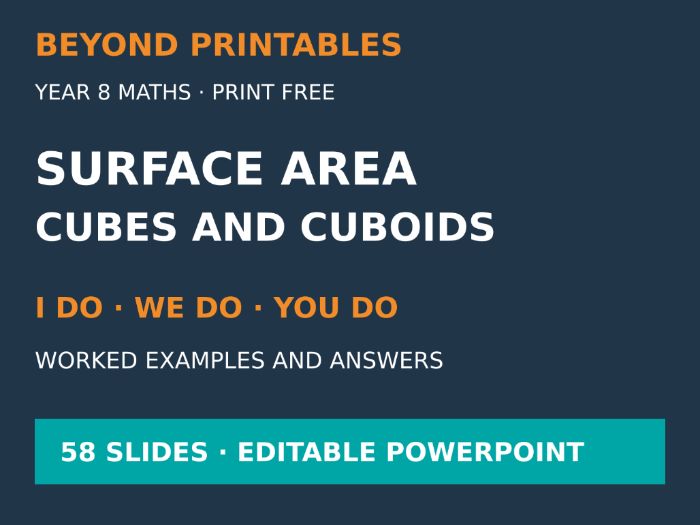 Surface Area of Cubes and Cuboids | I Do, We Do, You Do | Year 8 Maths | Print Free