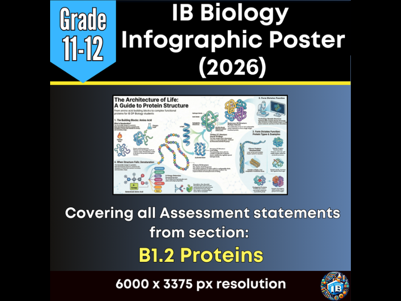 IB DP Biology Digital Infographic Poster: B1.2 Proteins (2026)