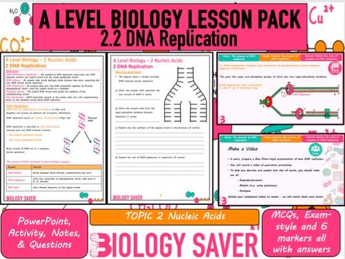 A Level Bio Lesson - 2.2 DNA Replication