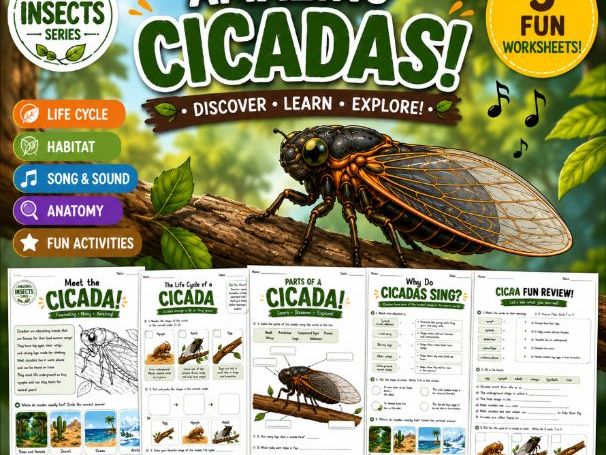 Amazing Cicadas | 5 Printable Science Worksheets | Life Cycle, Anatomy Ages 6-10