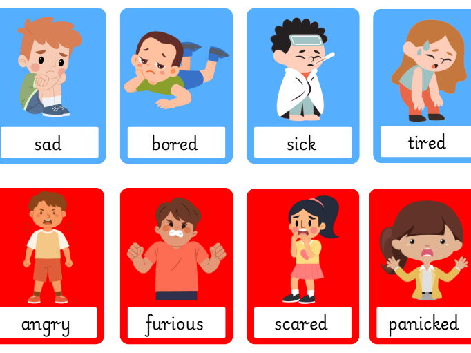 Zones of Regulation Display