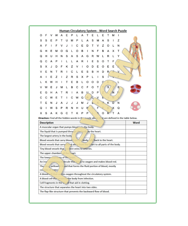 Human Circulatory System - Word Search Puzzle, PDF: Science, Heart ...
