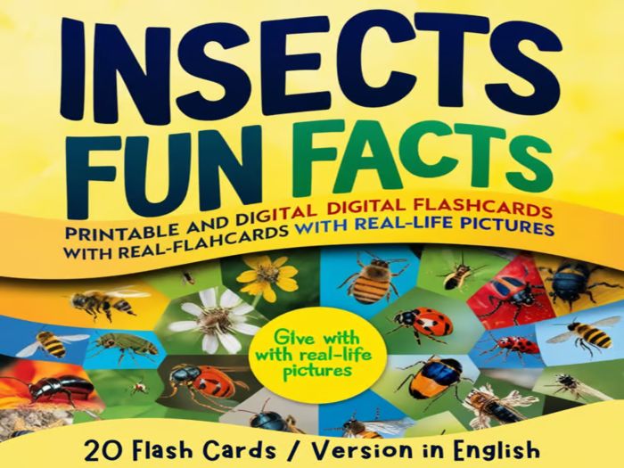 Insects Fun Facts: Printable and Digital Flashcards with Real-Life Picture Version in English E