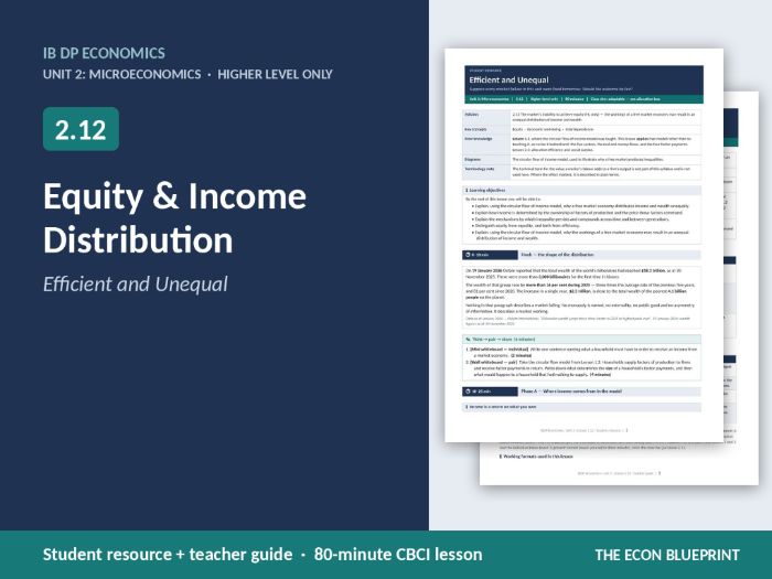 IB Economics 2.12 Equity & Income Distribution | HL Only | CBCI