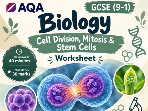 AQA GCSE Biology: Cell Division, Mitosis & Stem Cells Worksheet with Mark Scheme