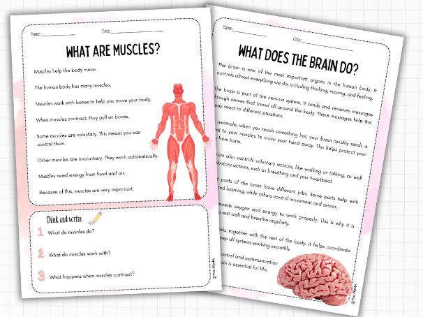 Human Body Reading Comprehension (Nonfiction, 2 Levels) | ESL KS2 Science
