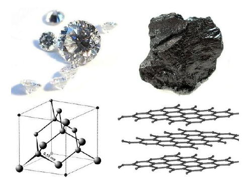 Year 9 IGCSE Science 1.3 Carbon Cycle