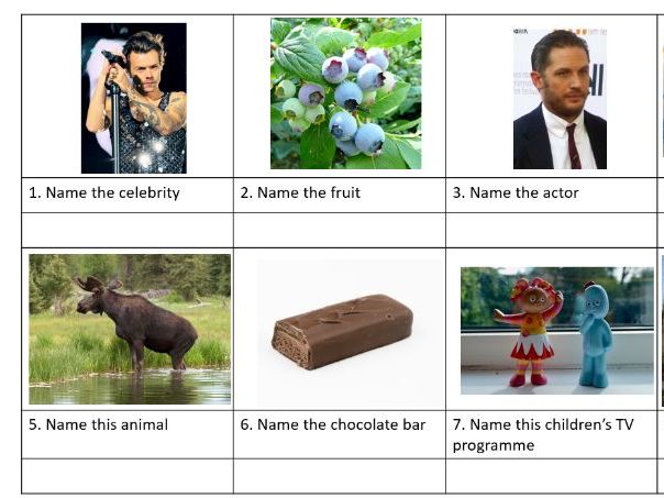 End of term picture quiz