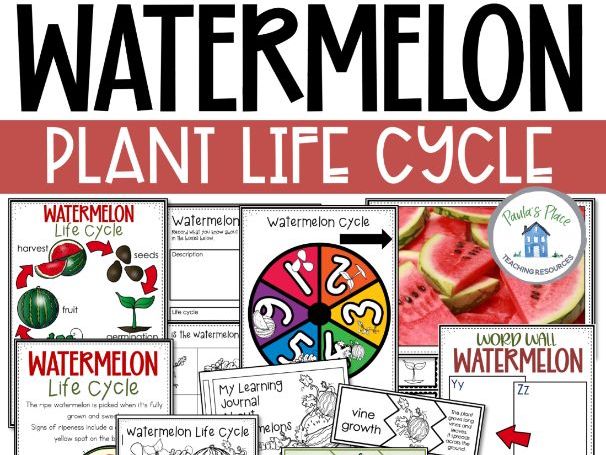 Watermelon Life Cycle