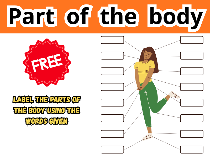 Label the Parts of the Body Activity Sheet (Human Anatomy for Early Learners)