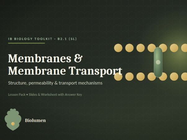 IBDP Biology B2.1 Membranes & Transport (SL)
