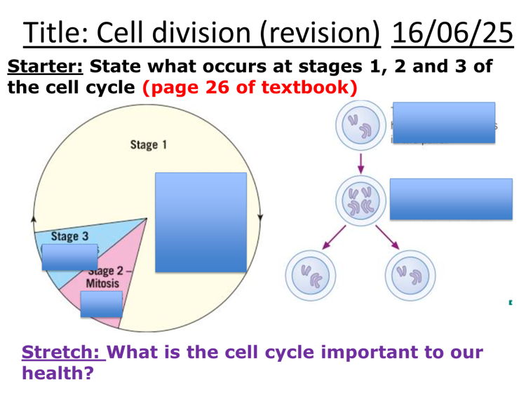 AQA B2 (cell division) revision broadsheet (GCSE 1-9)