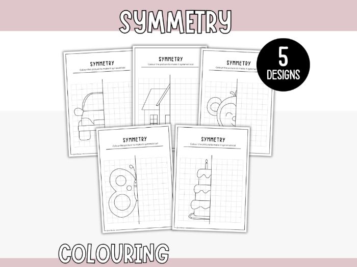 Symmetry - Draw and Colour