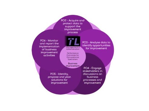 T Level Occupational Specialism Business Improvement Topic Checklist